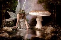 Artistic Fairy Day Photographs