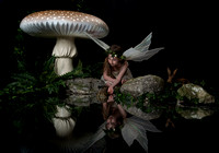Fairy Photograph By Cliff Manners -25487