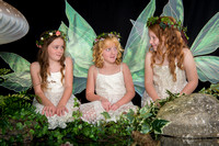 Three fairy friends talking by the water