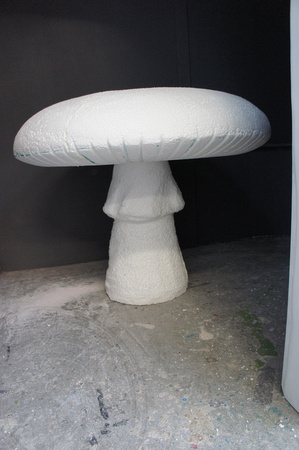 A Fairy Mushroom