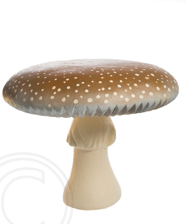 Mushroom taken by cliff manners from Life in print studios